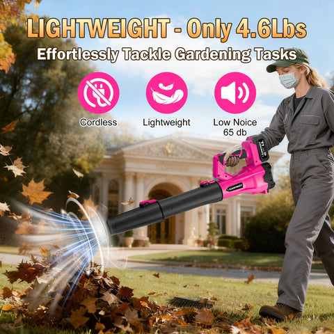 LEAWINDY extended tube attachments for tough-to-reach areas.