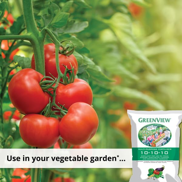 Lebanon Seaboard Green View No.40 enhances blooms in flower beds.