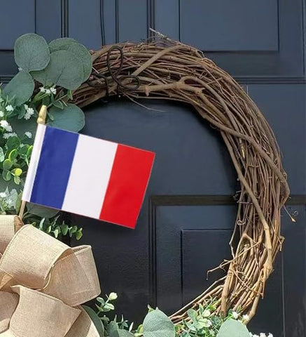 Lebei 12-pack France flags for events and classrooms