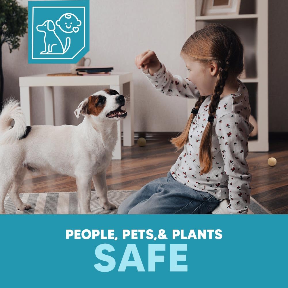 Kitchen-area placement suggests protection in busy rooms with active activity.