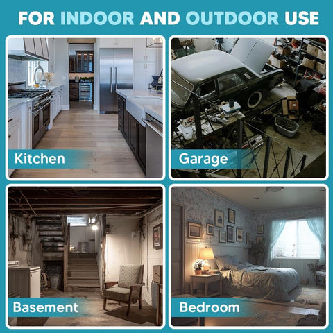 Outdoor garden edge placement offers mint-scent deterrence beyond doors.
