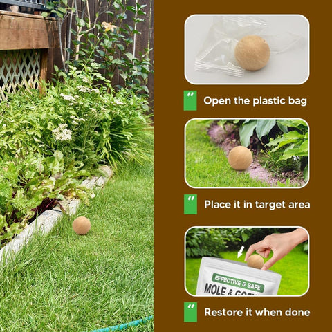 LEBMP yard protection lawn demonstrates coverage for burrow deterrence and turf protection.