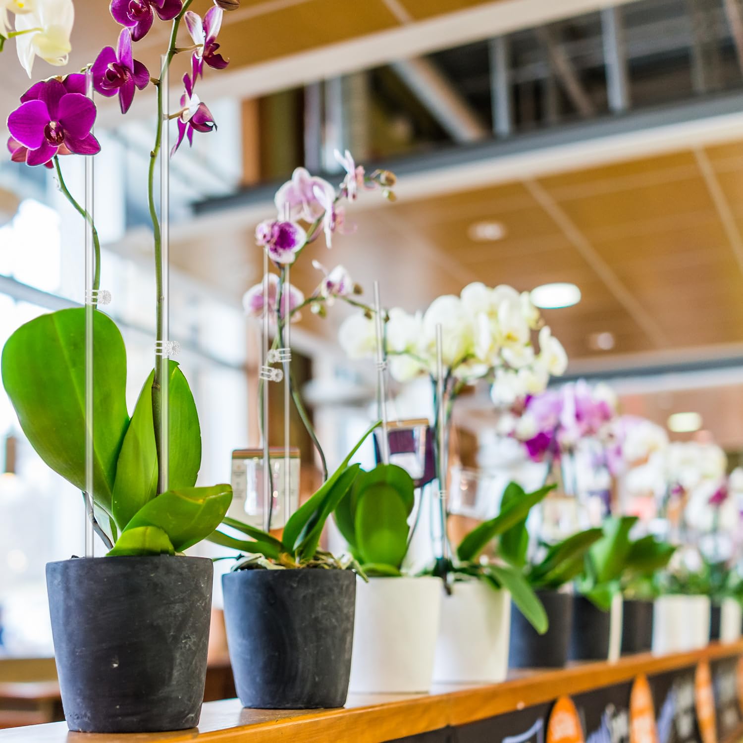 LECAMEBOR flower stake with transparent acrylic blends with plants.