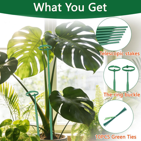 lecamebor sleek indoor outdoor plant support elevates home greenery