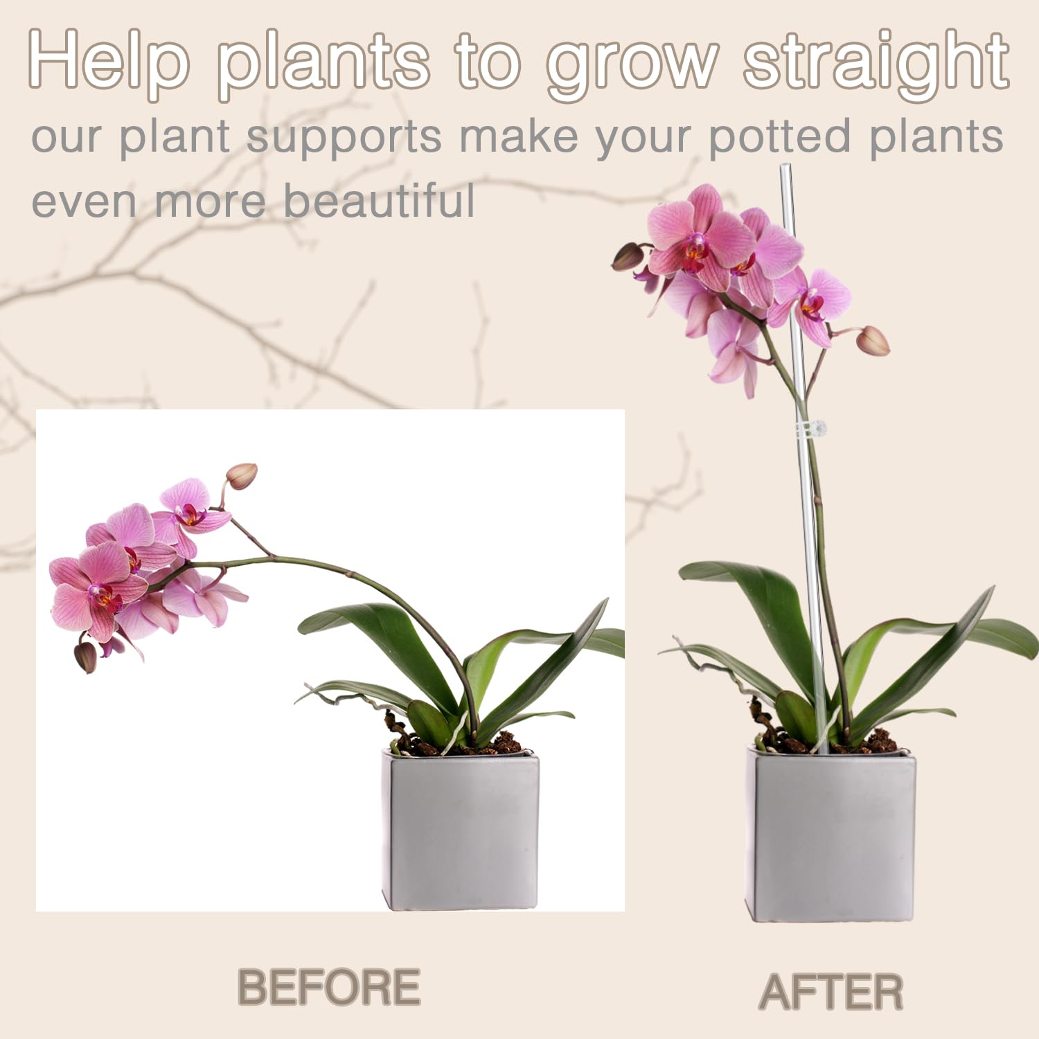 LECAMEBOR stake with clips provides secure support for climbing plants.