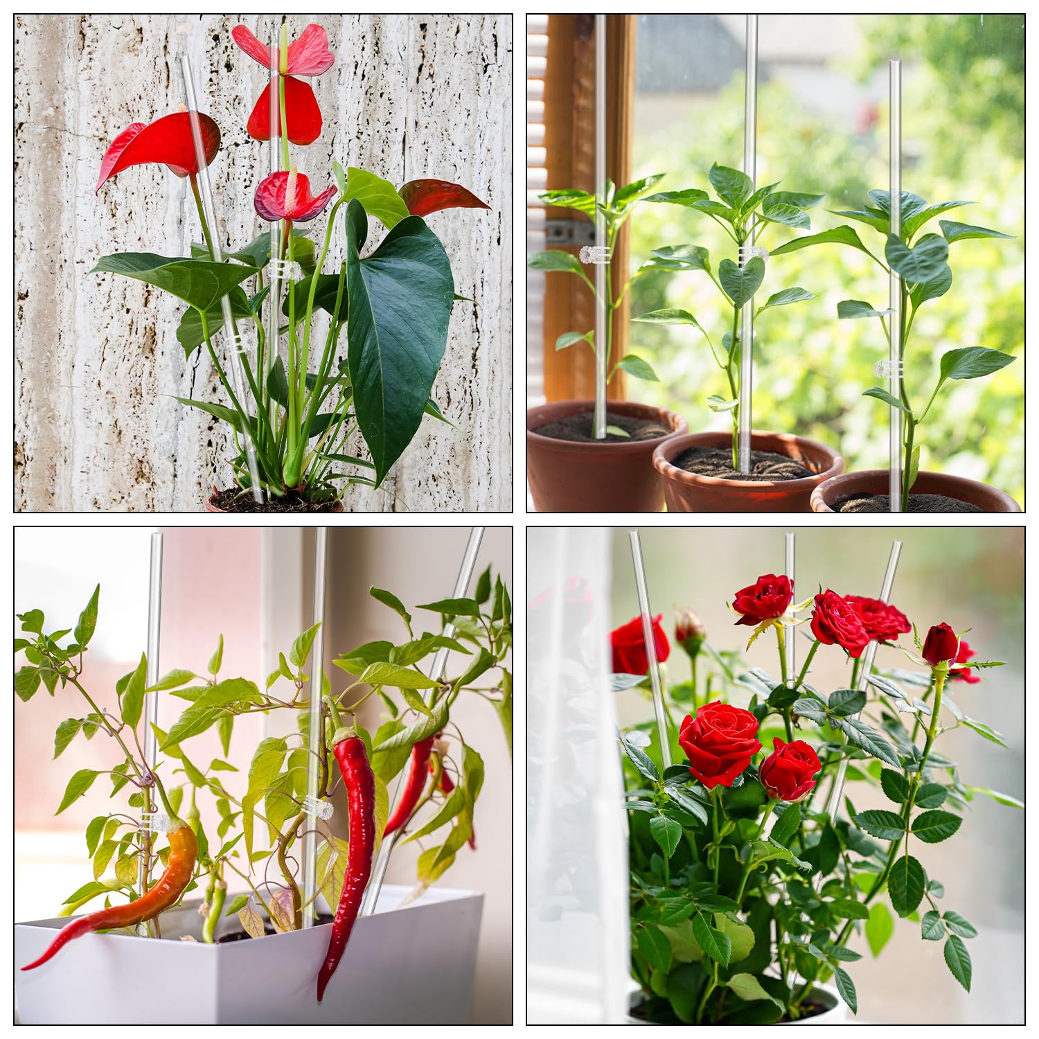 LECAMEBOR potted plant stake keeps blooms neat and upright.