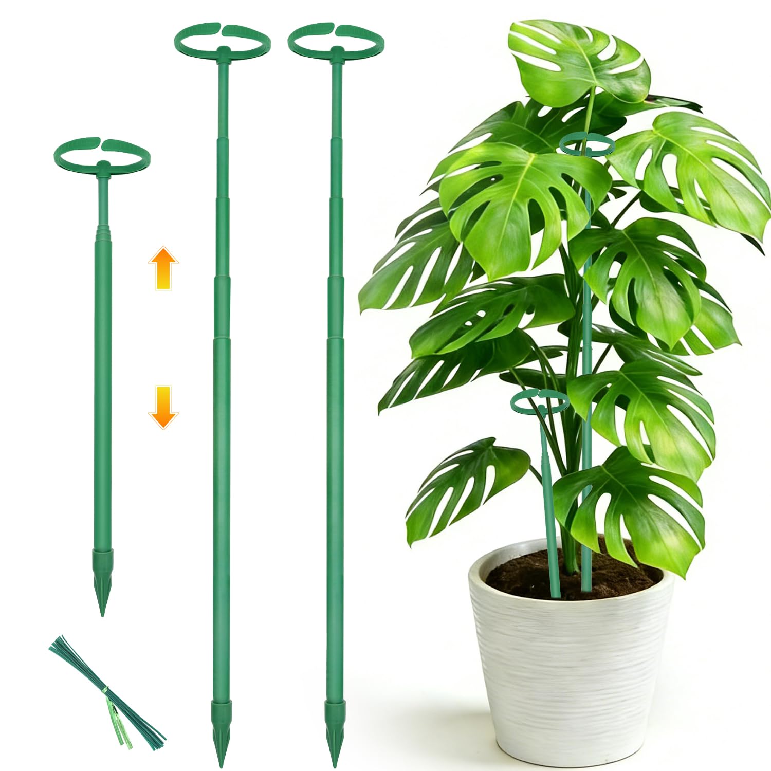 LECAMEBOR Telescoping Monstera stake at 12.5 inches provides discreet support for young plants.