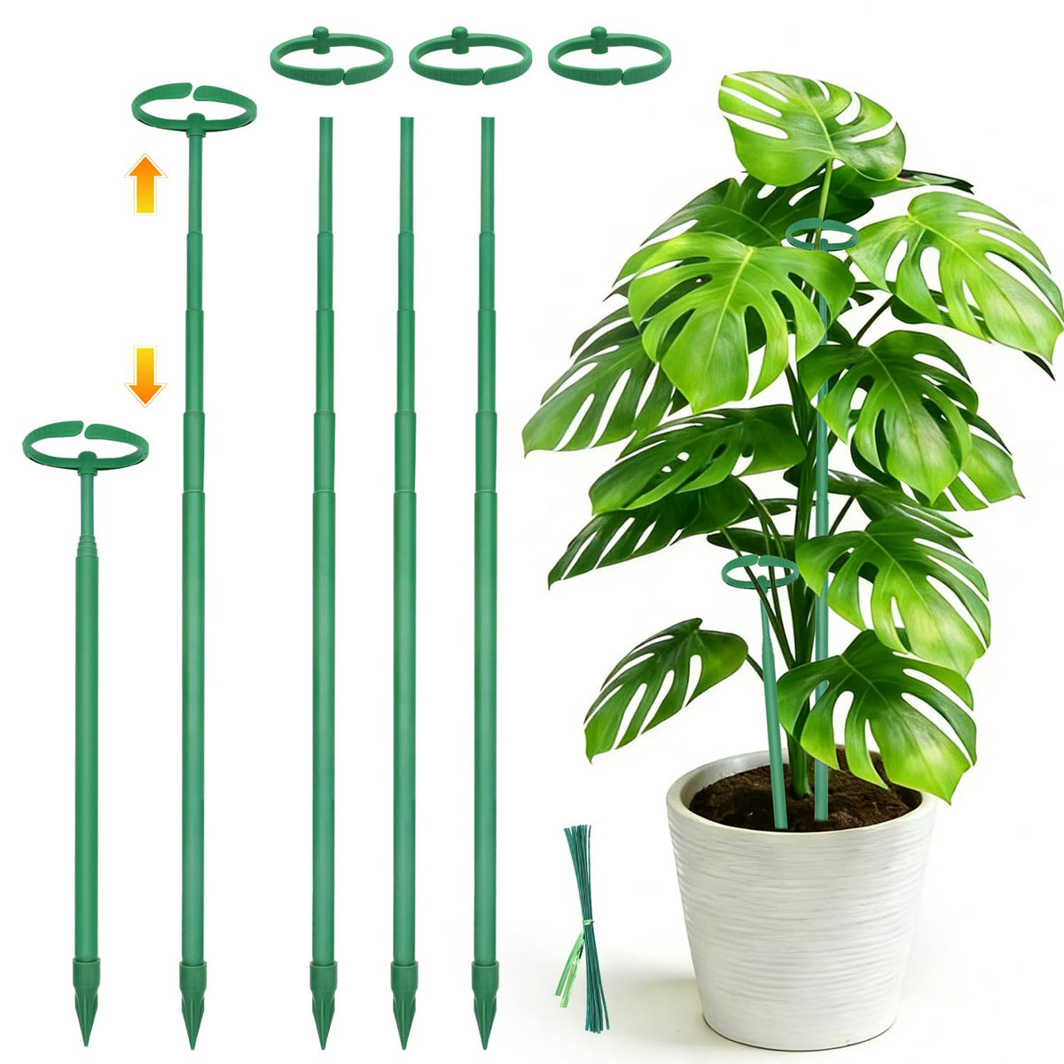 lecamebor telescoping monstera stake 12.5in supports young plants with gentle guidance