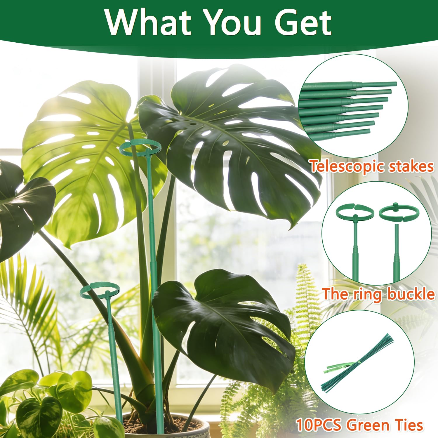 LECAMEBOR Monstera stake 3-pack ready for multiple indoor plants.