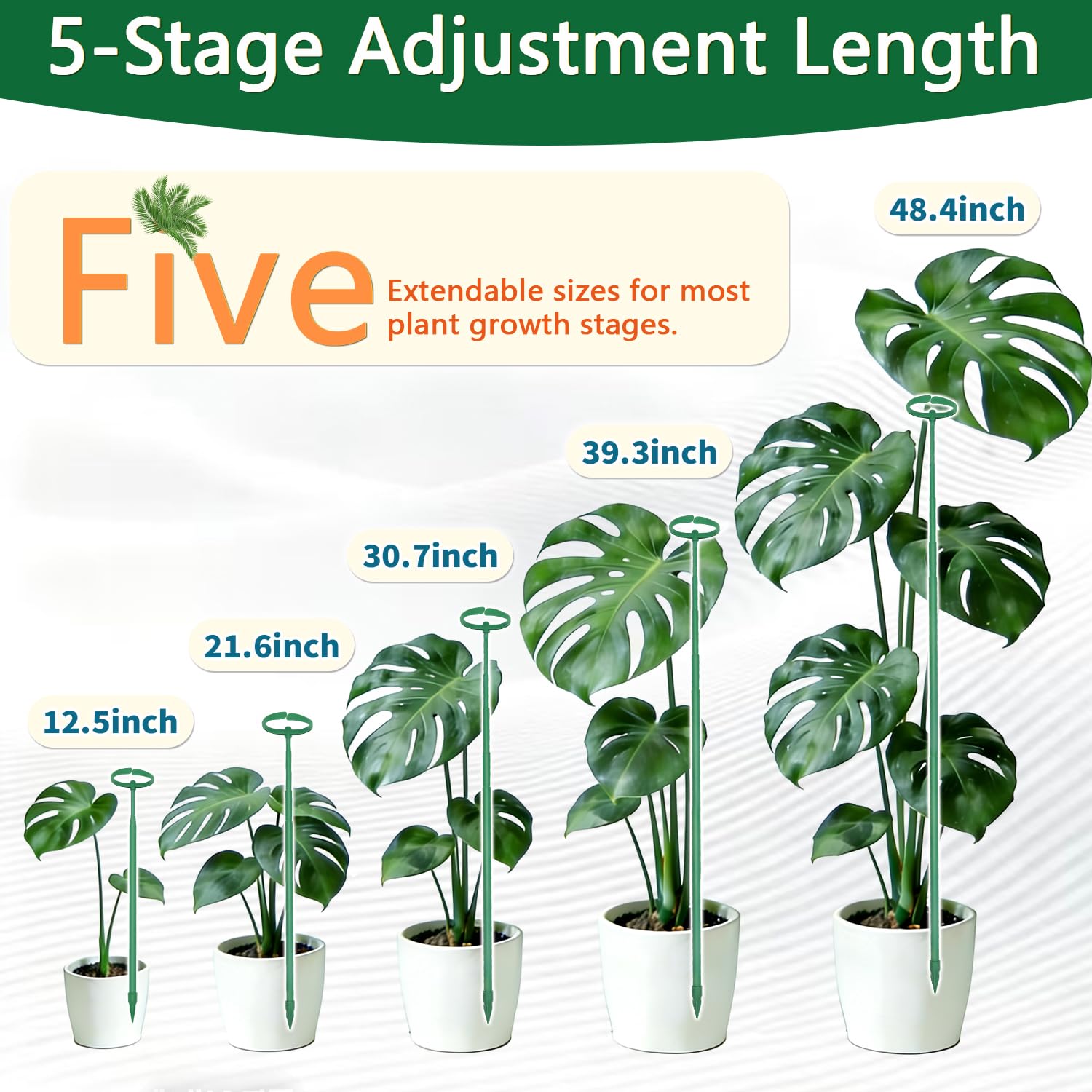 LECAMEBOR Monstera stake at 48.4 inches lifts mature plants upright.