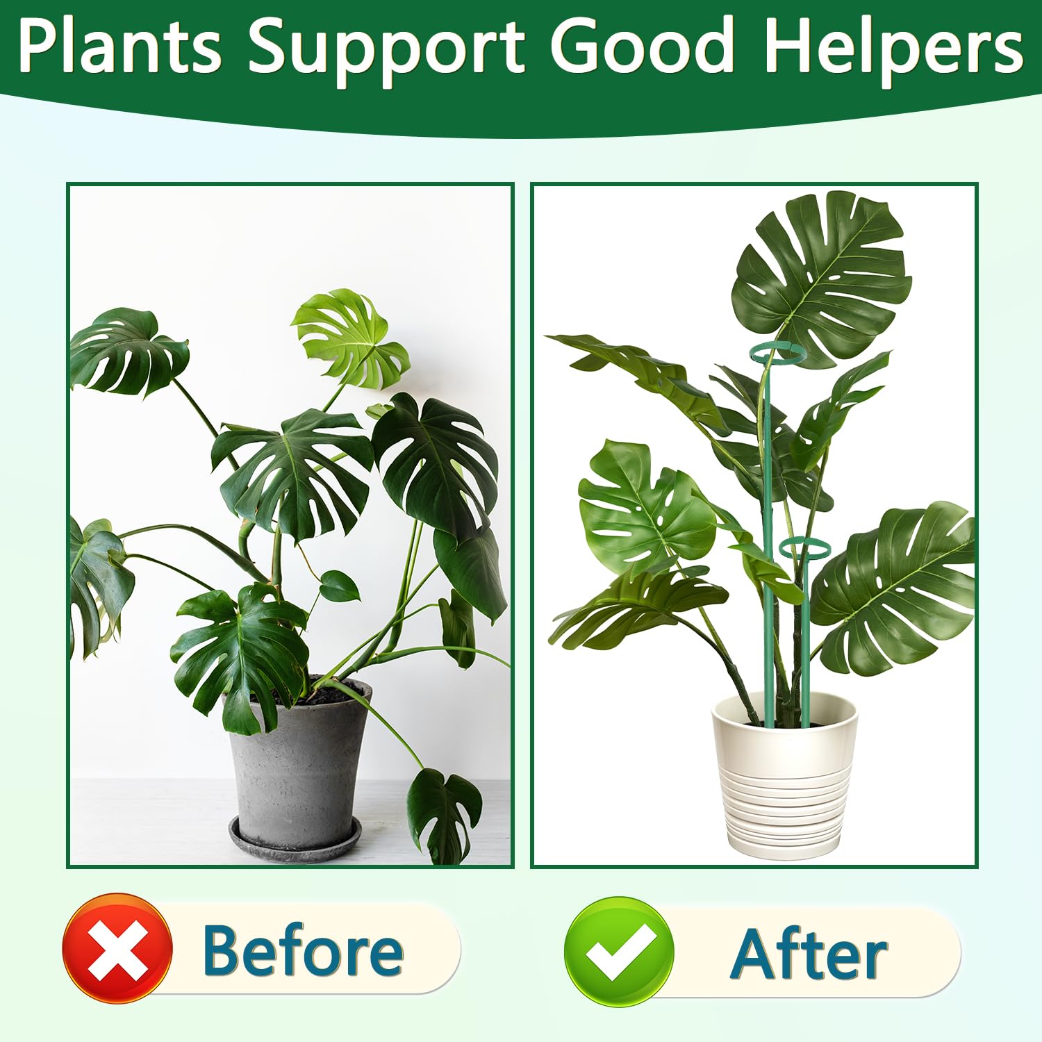 LECAMEBOR Monstera stake with stainless steel core resists rust and lasts.