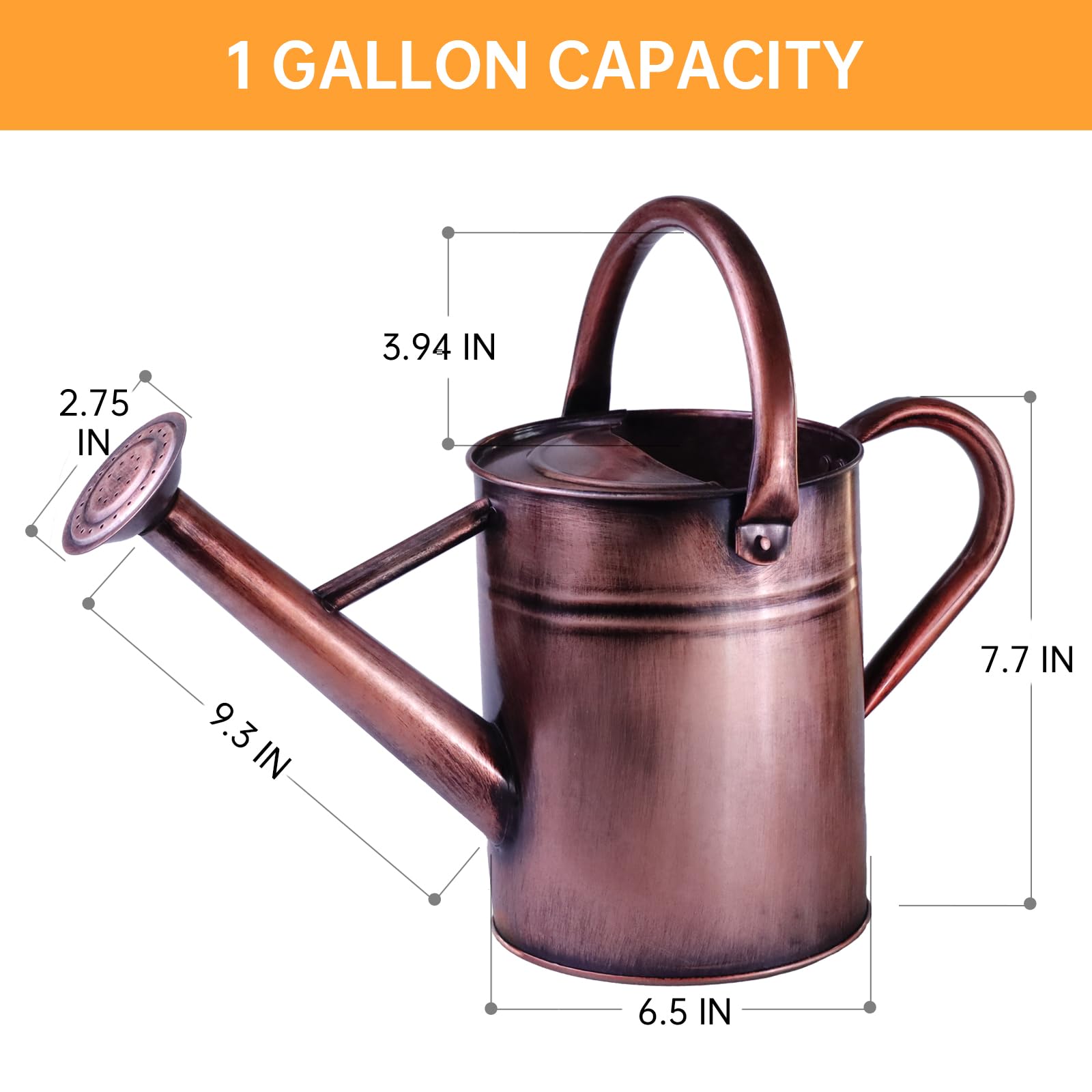 Lechloris metal watering can with removable spout for adjustable flow