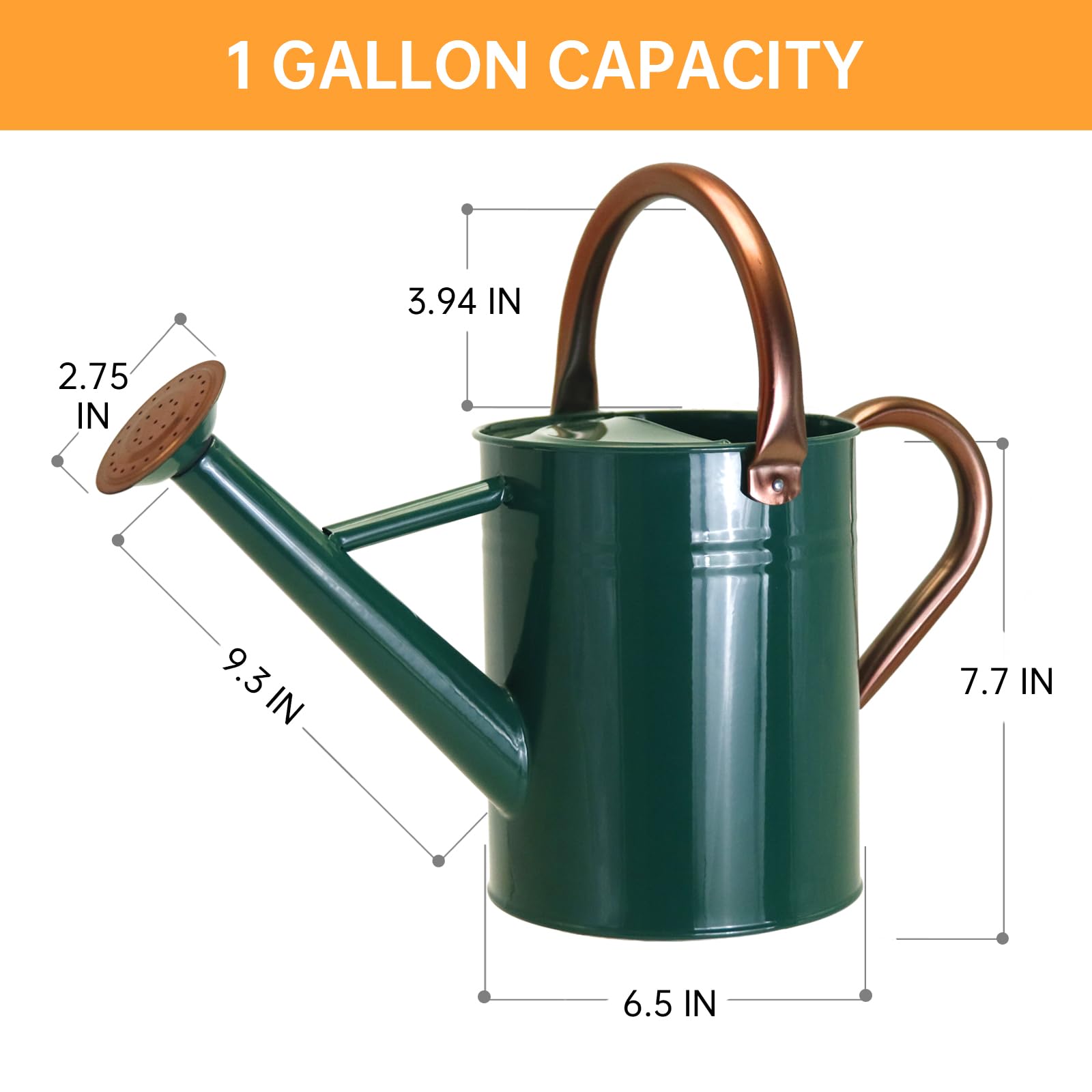 Lechloris watering can with removable spout for faster watering.