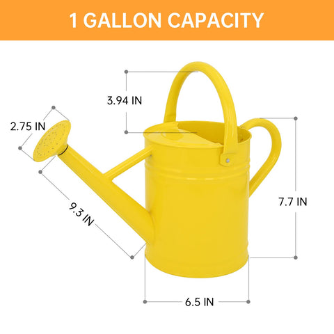 Lechloris watering can removable spout enables faster, adjustable water flow for delicate plants