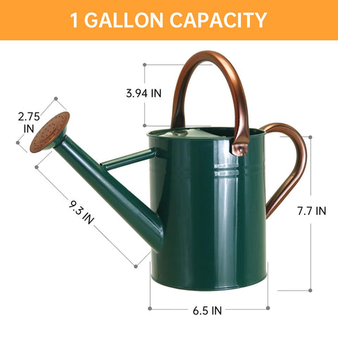 Lechloris watering can with removable spout for faster watering.