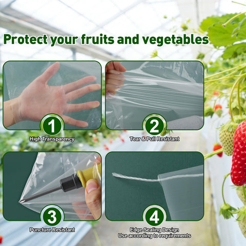 LECWELL anti-drip film reduces condensation droplets on leaves
