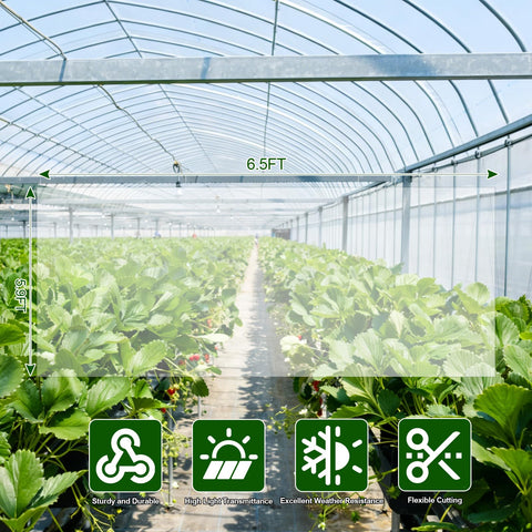 LECWELL high light transmission film enhances uniform light for healthy growth