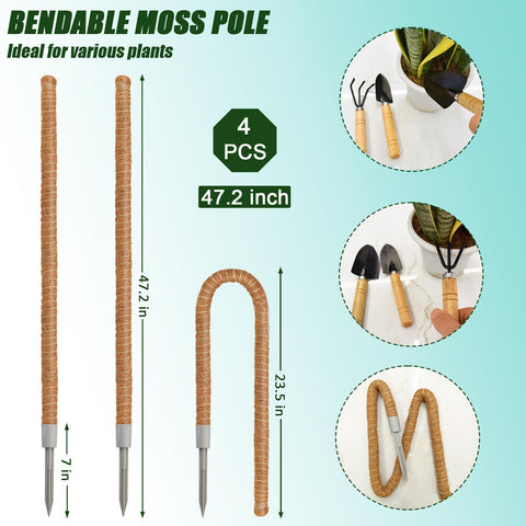Ledanba monstera-climbing moss pole supports lush growth and air roots