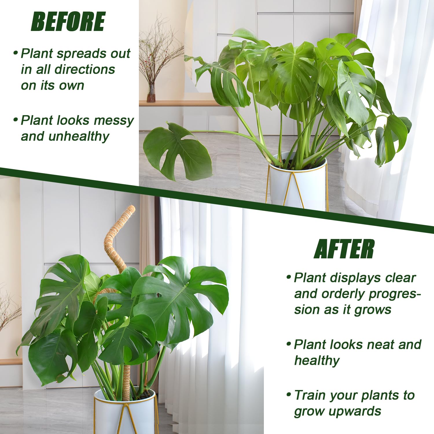 Ledanba plant stake for indoor plants supports tall growth