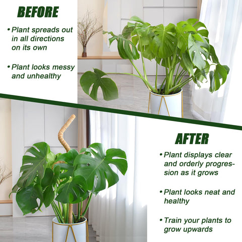 Ledanba plant stake for indoor plants supports tall growth