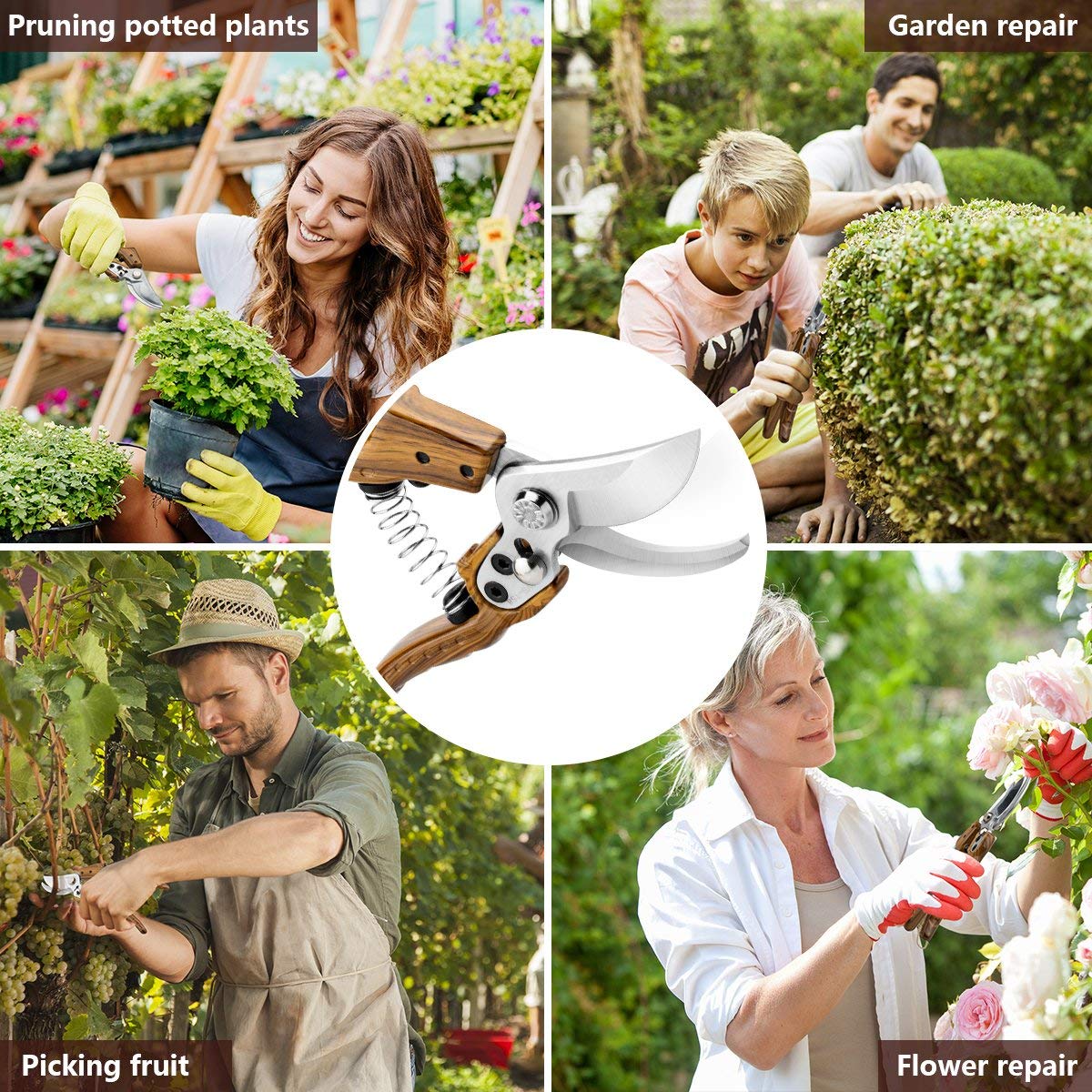 Leepenk WProfessional Sharp Pruners in use on a rose bush demonstrates precise trimming.