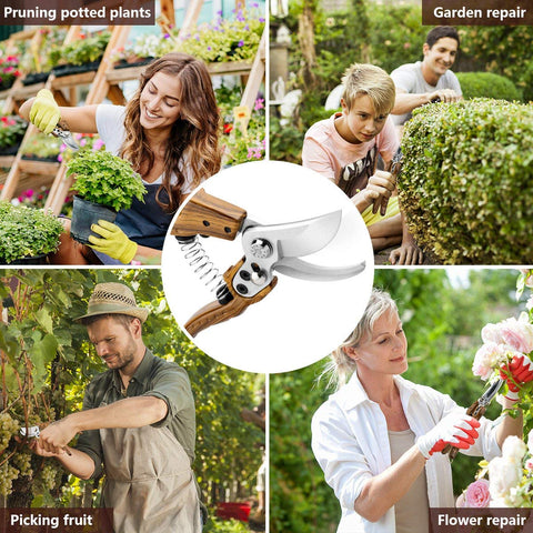 Leepenk WProfessional Sharp Pruners in use on a rose bush demonstrates precise trimming.