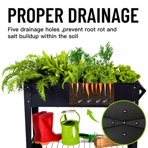 LEETOLLA Elevate double-drainage system prevents waterlogging for healthier soil.