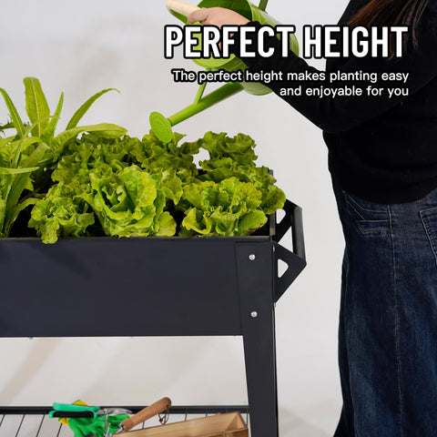 LEETOLLA Elevate with ergonomic handle and wheels simplifies moving a heavy garden bed.