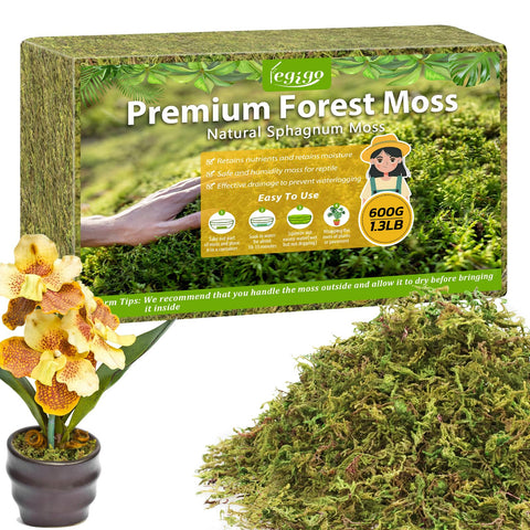 Legigo 1.3lbs sphagnum moss brick expanded after soaking, ready for potting