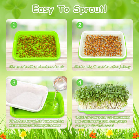 Legigo microgreens-ready setup supports moisture balance for healthy greens.