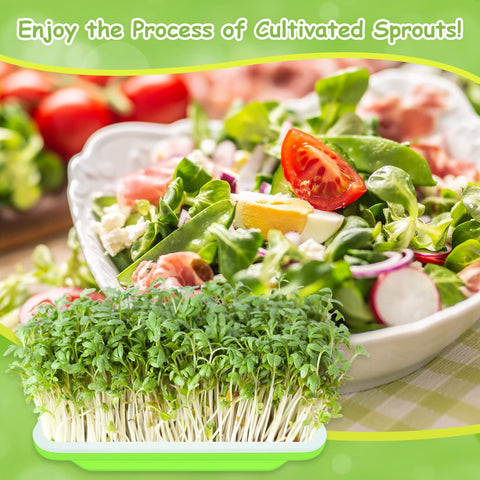 Legigo stacked trays enable efficient germination and harvest.