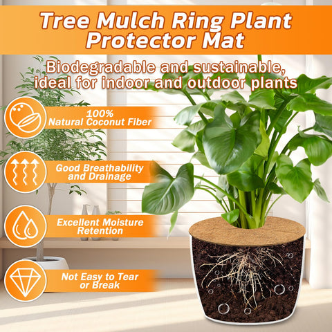 Legigo 24-inch tree ring offers easy sizing and center cut for base fit.