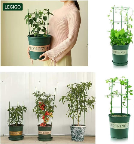 Legigo climbing-friendly cages with open spaces simplify pruning and harvest.