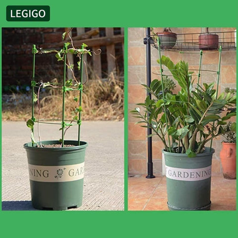 Legigo plant clips secure stems without damage during growth and shaping.