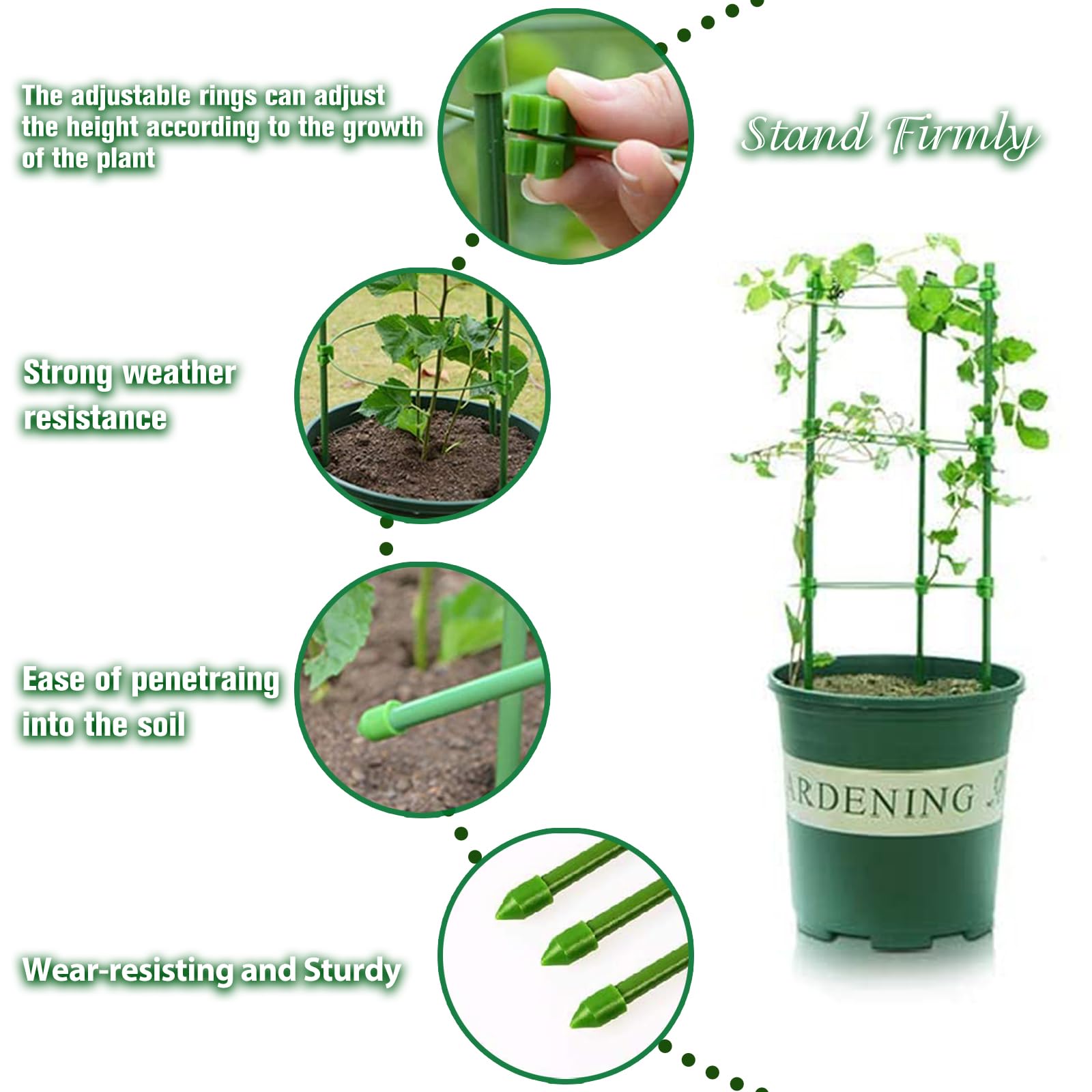 Legigo green-tinted steel cage offers durable, rust-resistant garden support.