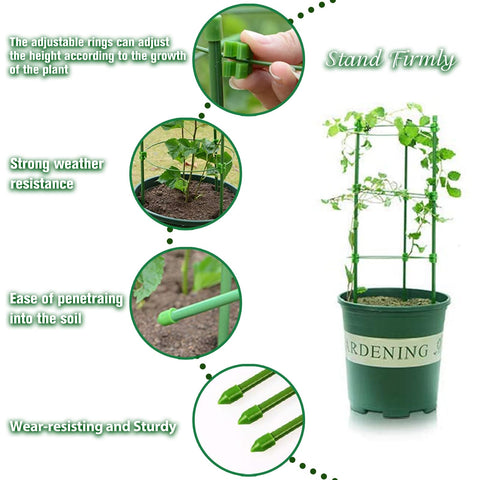 Legigo green-tinted steel cage offers durable, rust-resistant garden support.