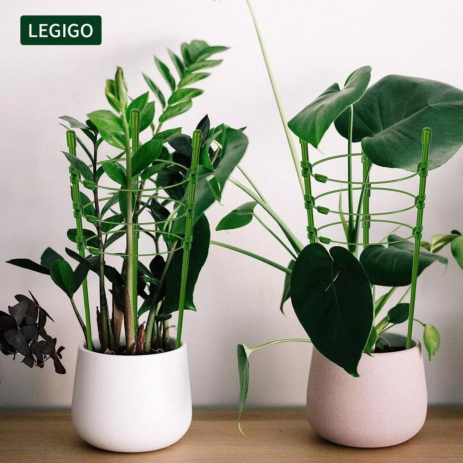 Legigo 3-pack supports tomatoes, cucumbers, peppers, and other potted climbers.