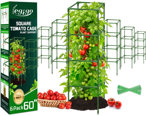 Legigo six-pack square tomato cages provide sturdy support for climbing plants.