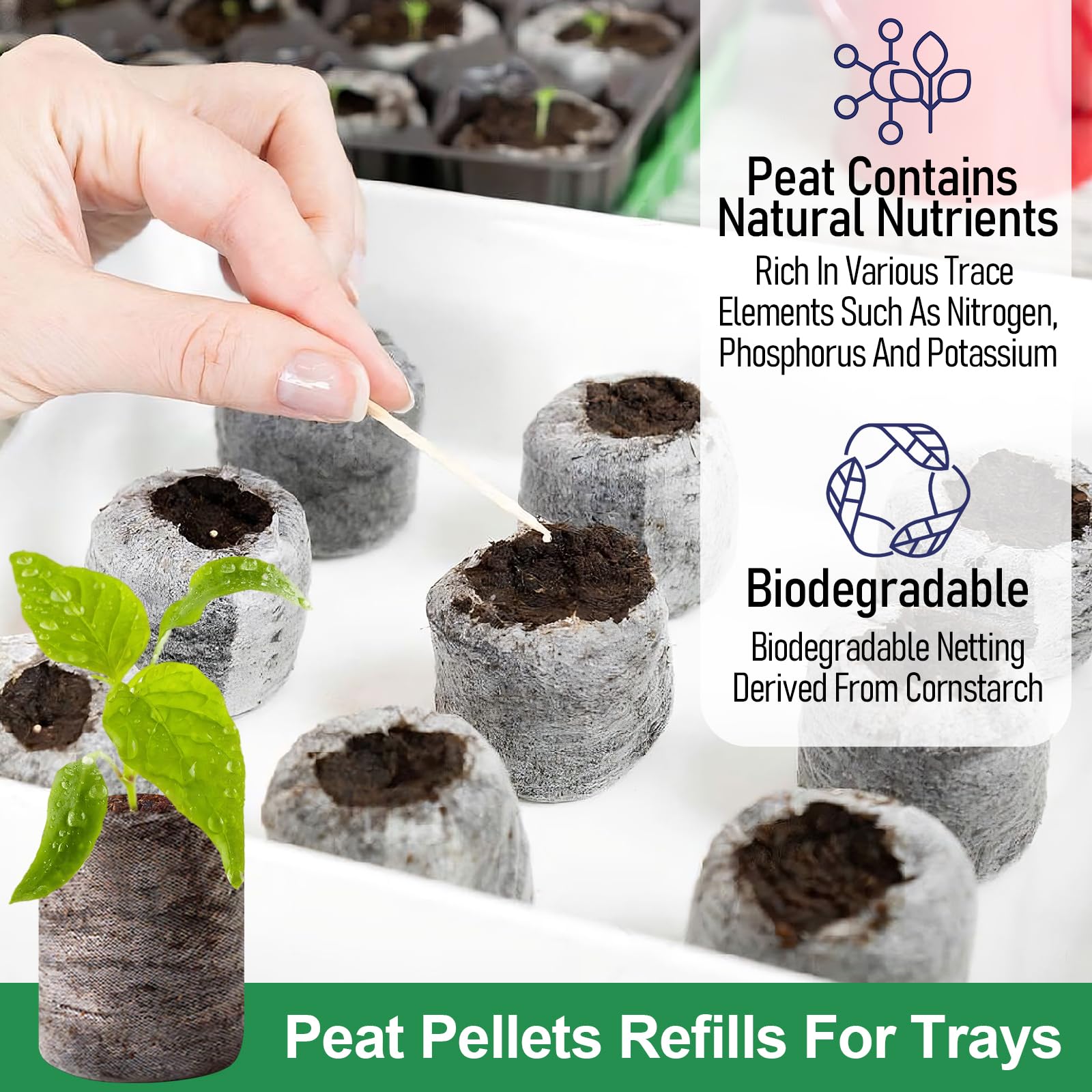 Legigo aeration and water retention support healthy roots.