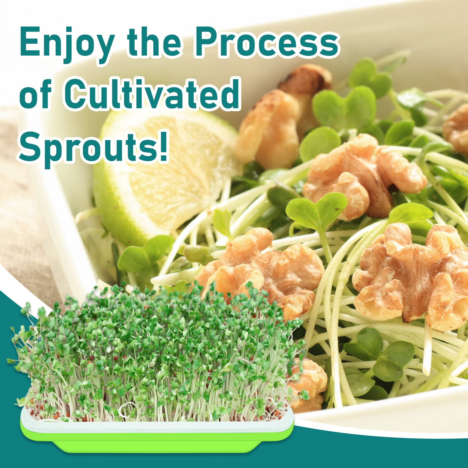 Legigo bean sprouting kit makes sprouting beans quick and tidy.