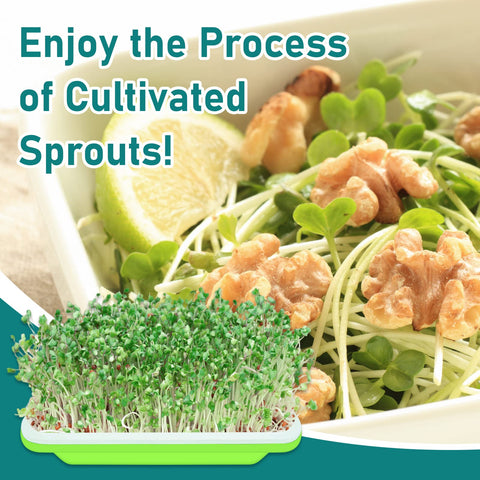 Legigo bean sprouting kit makes sprouting beans quick and tidy.