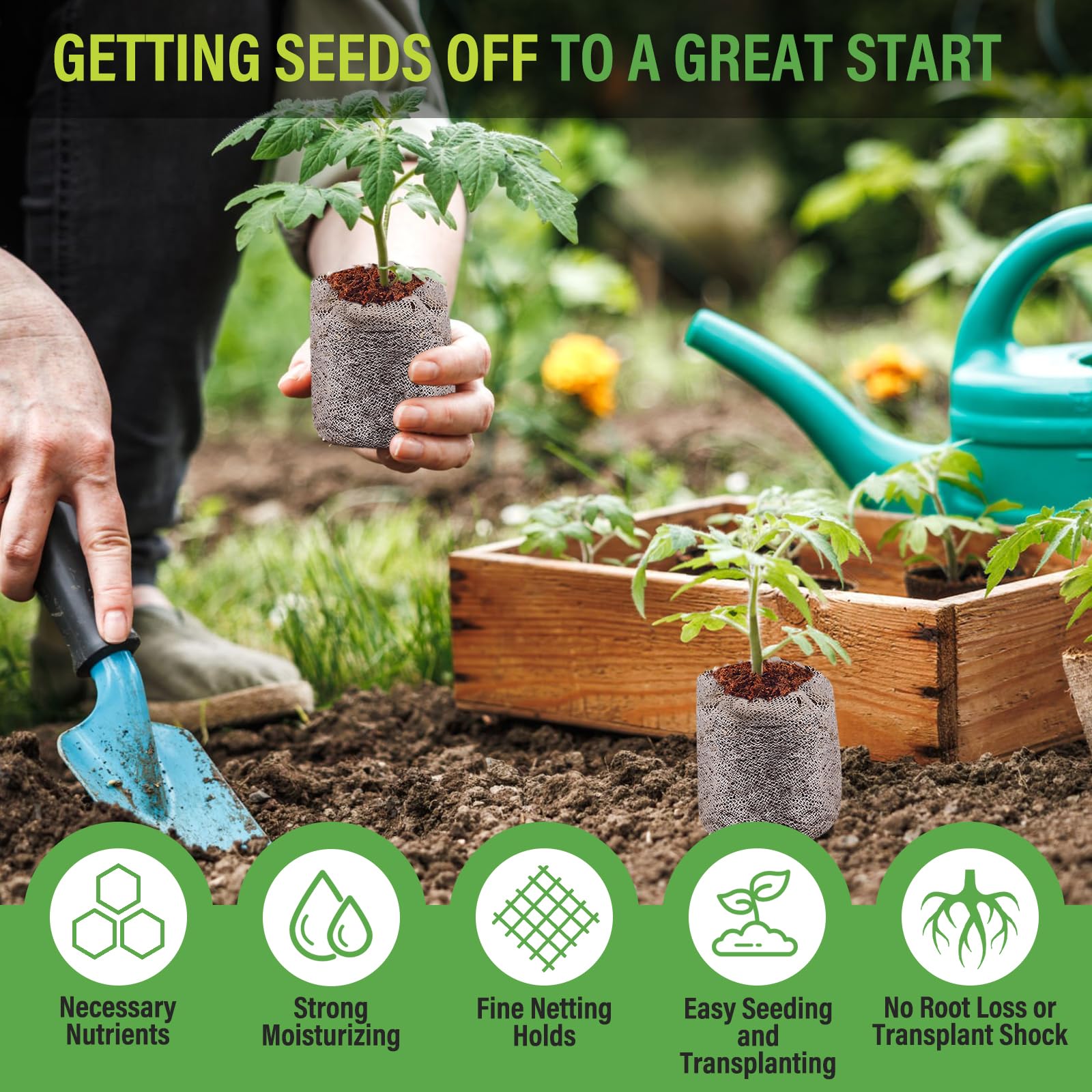 Legigo biodegradable net protects delicate roots as coco coir forms a breathable cradle.