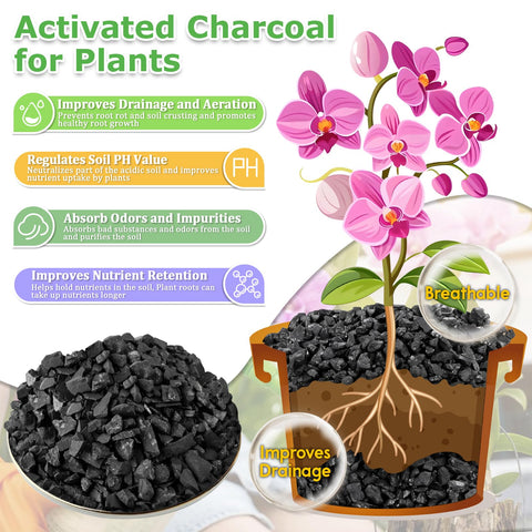 Legigo bonsai orchid succulent charcoal mix supports root health and drainage.
