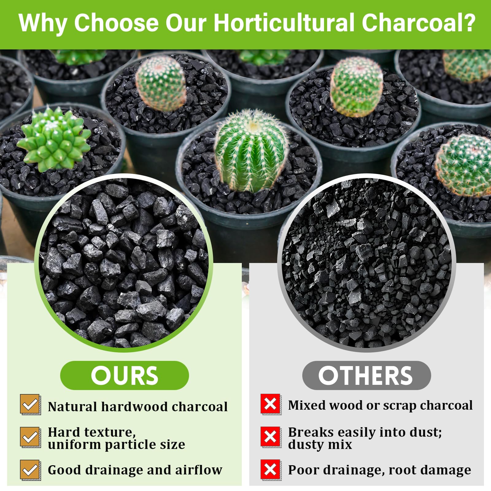 Legigo bonsai soil charcoal layer enhances drainage around roots