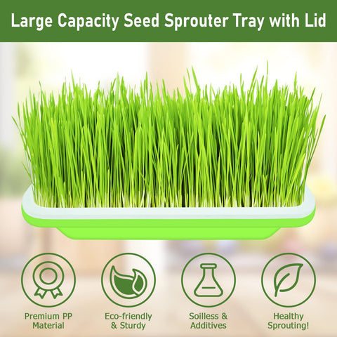 Legigo bottom tray helps collect excess water and organize sprouts