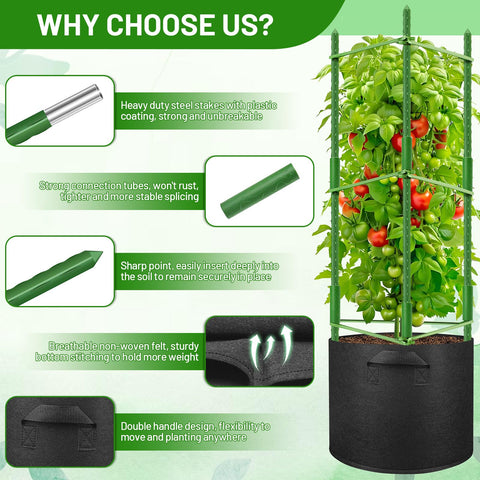 Legigo breathable felt grow bags promote healthy root development and airflow.