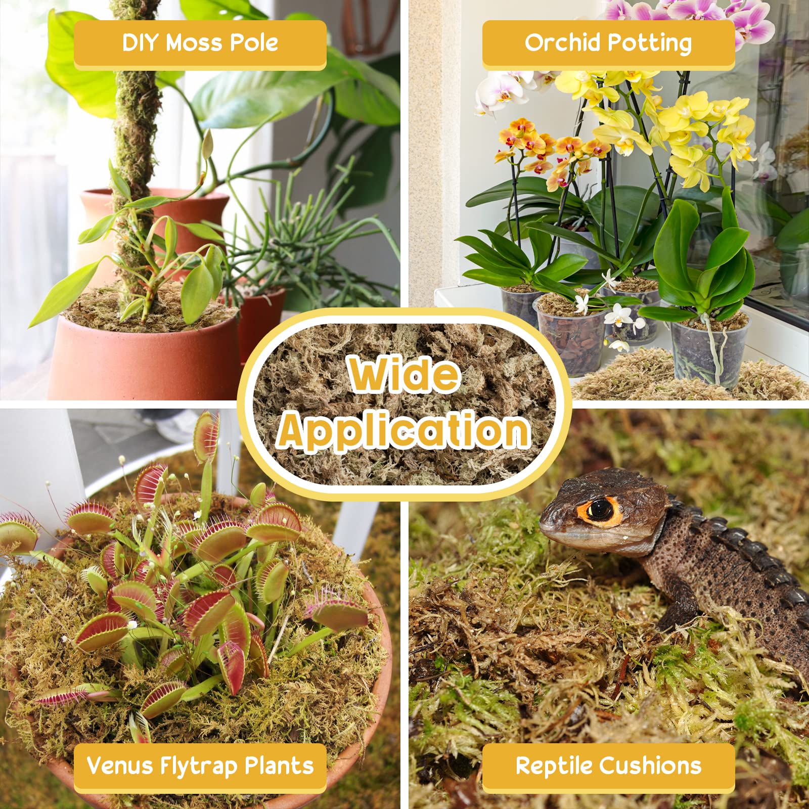 Legigo carnivorous plant moss mix for structured, moisture-managed soil