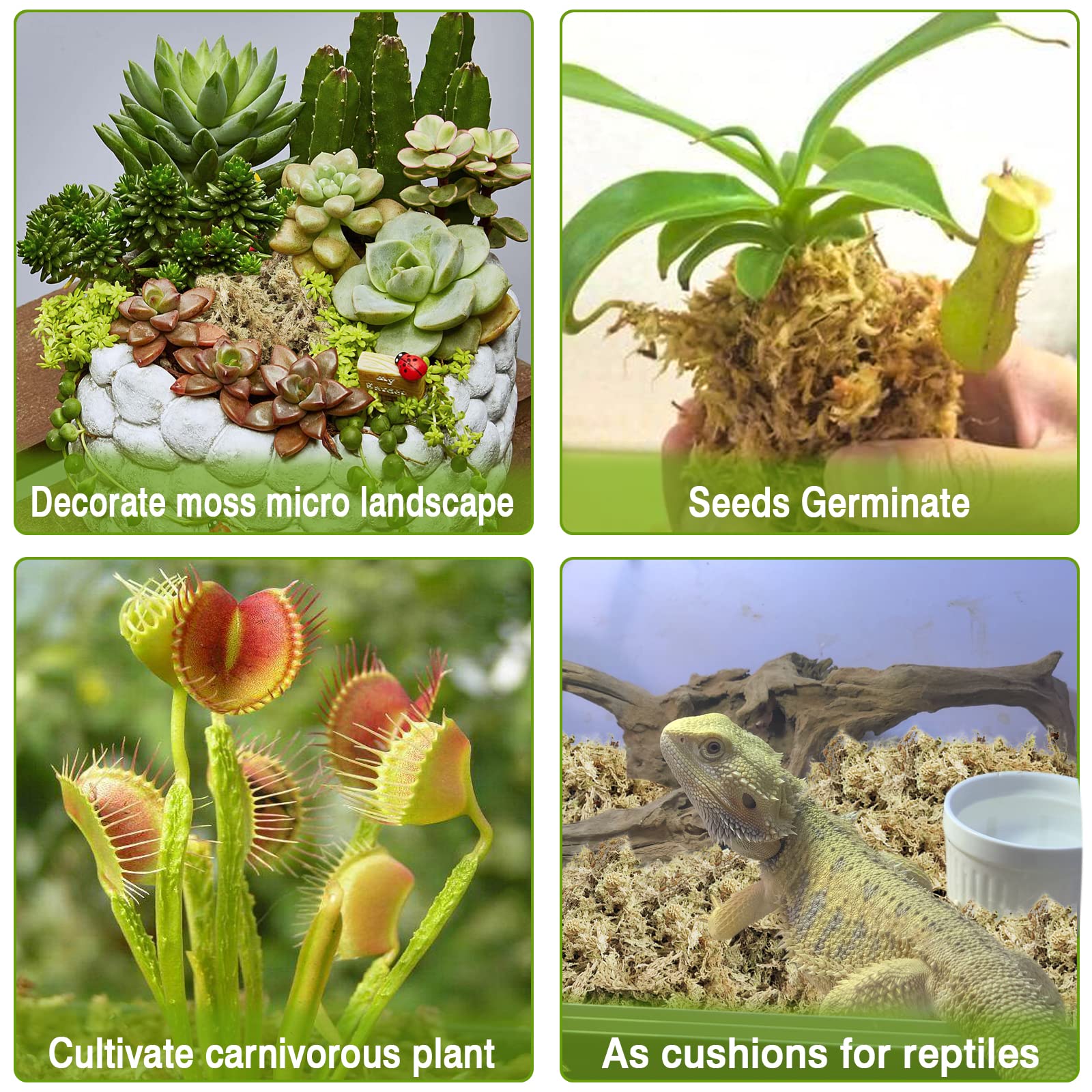 Legigo carnivorous plant substrate moss ideal for venus flytraps and sundews