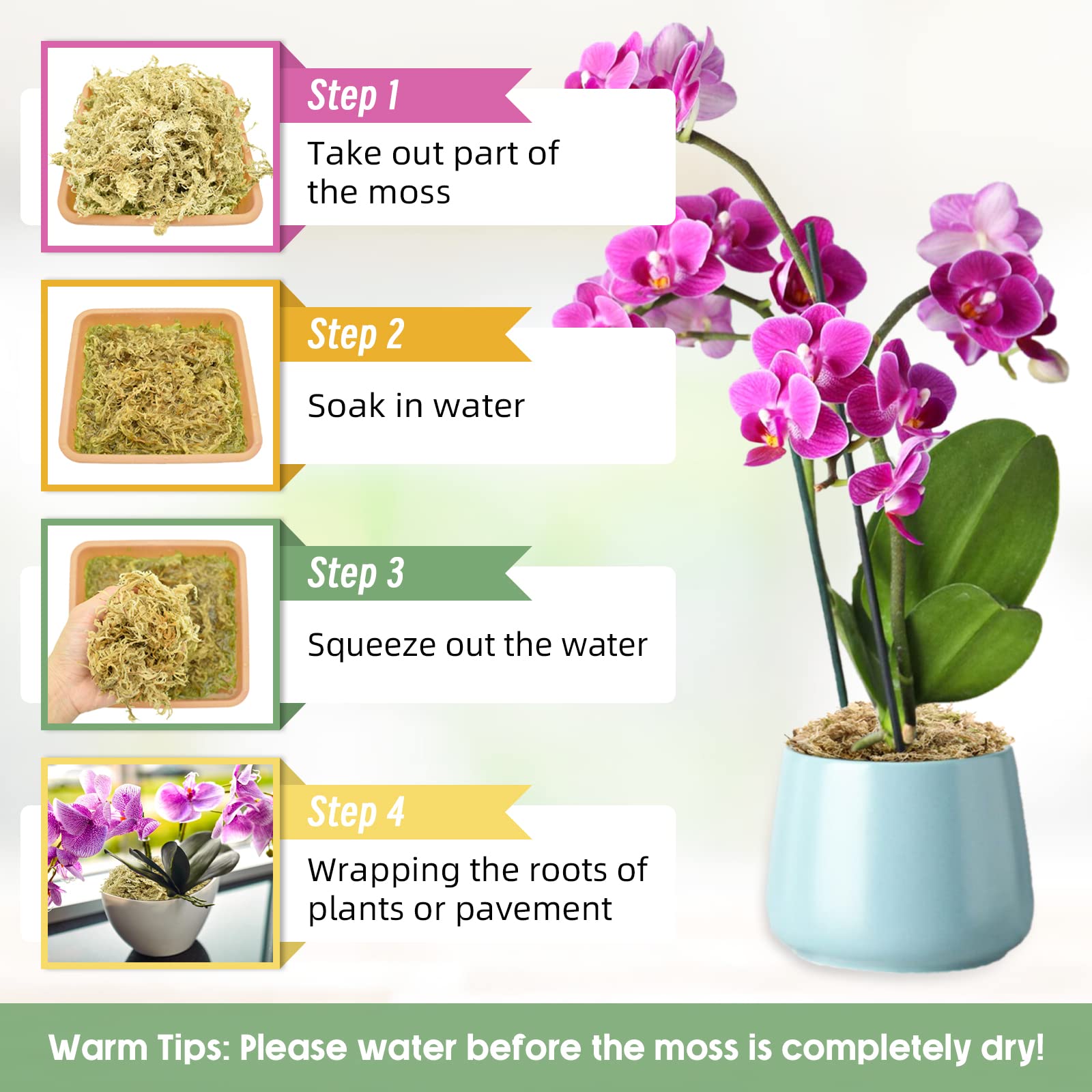 Legigo carnivorous plant moss layering enhances natural substrate and growth.