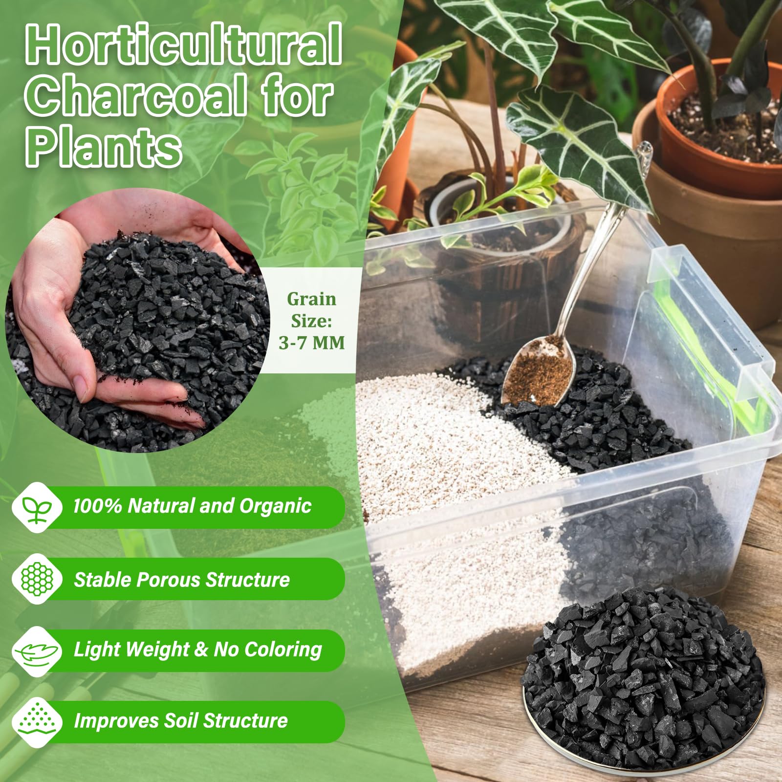 Legigo charcoal for drainage in bonsai soil supports healthy root structure.